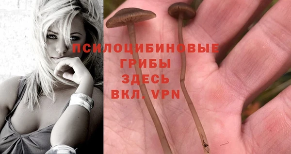 сатива Армянск