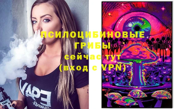 МДПВ Арсеньев
