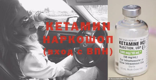сатива Армянск