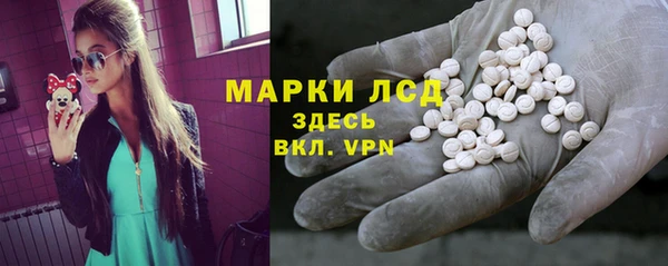 сатива Армянск