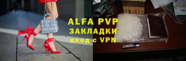 сатива Армянск