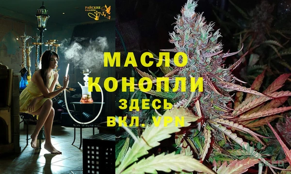 сатива Аркадак
