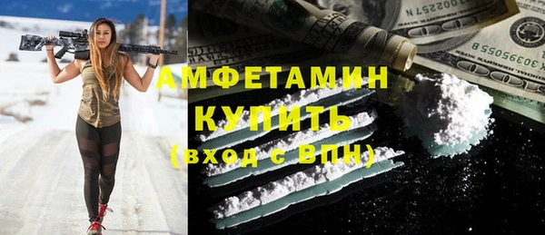 сатива Аркадак