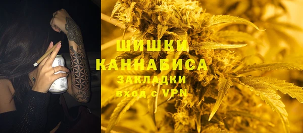 сатива Аркадак