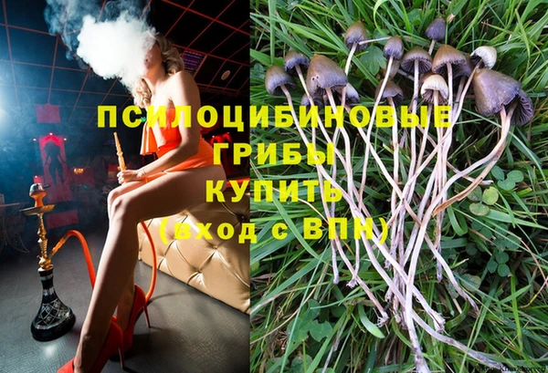 МДПВ Арсеньев