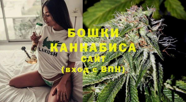 сатива Аркадак