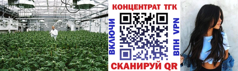 MEGA ссылки  Сураж  Дистиллят ТГК Wax 