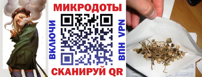цена наркотик  Сураж  Галлюциногенные грибы MAGIC MUSHROOMS 